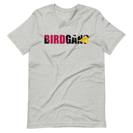 Birdgang Color in the Lines Unisex Athletic Heather t-shirt