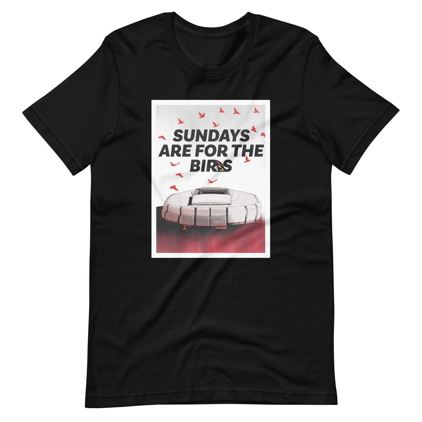 Sundays for the Birds Unisex Black t-shirt